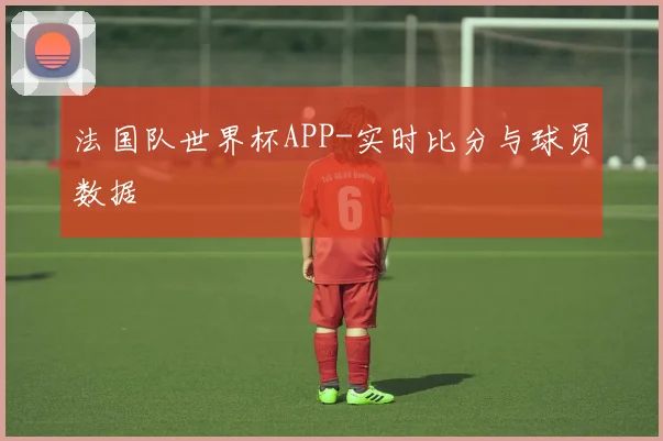 法国队世界杯APP-实时比分与球员数据