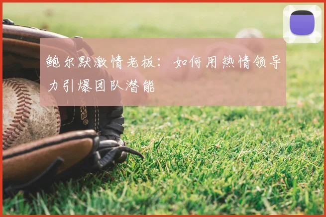 鲍尔默激情老板：如何用热情领导力引爆团队潜能