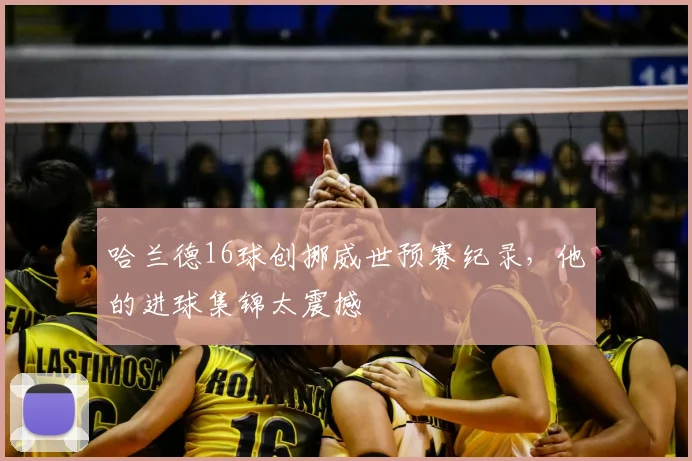 哈兰德16球创挪威世预赛纪录，他的进球集锦太震撼